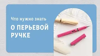 Каллиграфия и чистописание: как промыть перьевую ручку LAMY?