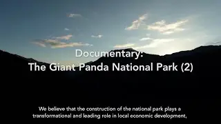 Documentary: The Giant Panda National Park (2)