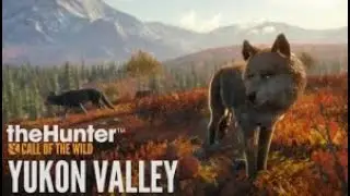 THE HUNTER YUKON VALLEY SOLO PC