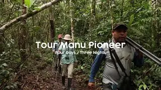 The Manu Pioneer: 4 Days - 3 Nights in the Amazon Rainforest!