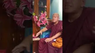 spread dharma #buddhism #buddha#buddhist #buddhaquotes #wisdom #buddhistpractice