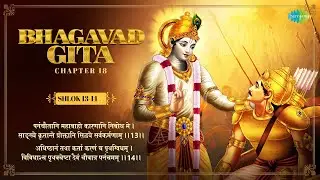 Bhagavad Gita | Shlok 13-14 | Chapter 18 with Narration | HG Gaurmandal Das | Iskcon Temple