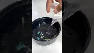 Unboxing the Most Sensitive Guppy Fish 😳 !