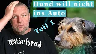 Hund will nicht ins Auto - Teil 1