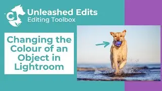 Changing the Colour of an Object in Lightroom - Dog Photography Editing