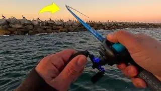 Fishing and Lobster Hooping Long Beach Breakwall!