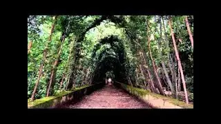 Verlorene Orte - Lost Places (Doku H&ouml;rspiel)