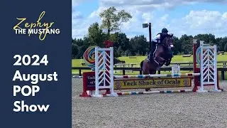 Zephyr the Mustang (2024 POP Schooling Show)