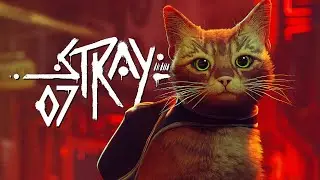Stray PL #7 - Jam jest Kot Włamywacz - 4K Gameplay PL