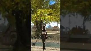 Полный Гайд по Всем Классам в Lineage 2 в 2026! За кого поиграть в Main версии?