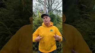 Nursery vs Garden Center - What is the difference?