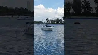 Alte Donau Elektroboot MD 555 Open