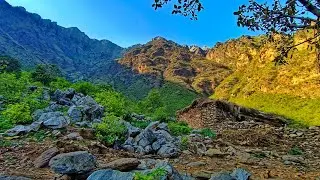 Pirsai, a traditional village of tehsil Rustam #travel #nature #mardan