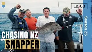 Chasing Big Snapper in New Zealand. Big head shakes and bent rods!