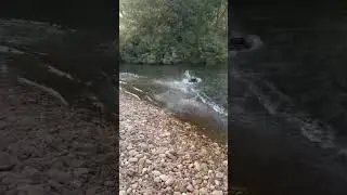Pro Boat Jetstream RC Jet Boat