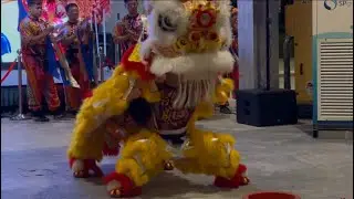 Exciting Lion Dance at Singapore Chinese Cultural Centre | Ultimate 2025 Street Performance!