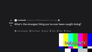 What's the Strangest Thing You've Ever Been Caught Doing (r/AskReddit) (Daily Dank Reddit #6)