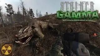 First Impressions On: S.T.A.L.K.E.R. G.A.M.M.A. (Anomaly Modpack)