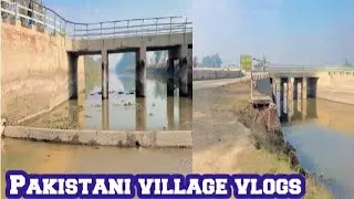 Pakistani village vlogs || Pakistan village life || Punjab village life in Pakistan || #villagelife