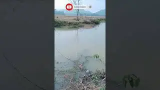 #Original Audio ll This is Mine River View and Assam Beautiful Place#shorts