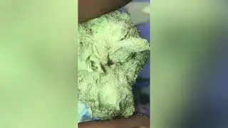 Sugar shack Strain Review ( Smk Brk 420 )