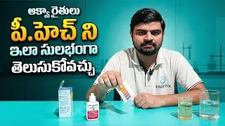 How to Test Pond Water pH at shrimp pond  | Simple Step-by-Step Guide