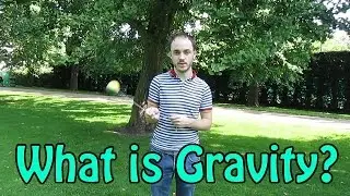 What is Gravity?