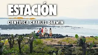 &iquest;C&oacute;mo es la Estaci&oacute;n Cient&iacute;fica Charles Darwin en Gal&aacute;pagos? 🦩🐢