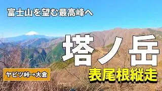 【日帰り】塔ノ岳　表丹沢最高峰　ヤビツ峠－表尾根－塔ノ岳－大倉尾根　縦走