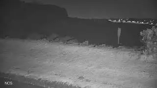 Jurg Zimmermann Live Stream