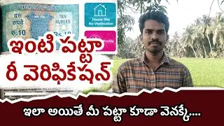 Andhra Pradesh House Site Patta Re Verification