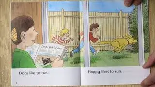 What Dogs Like (New)