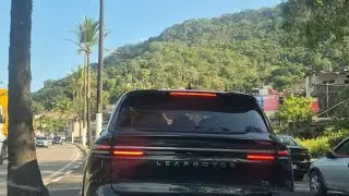 OLHA  A CAI&Ccedil;ARA  COMO TAVA NO INICIO DA NOITE @Tottauberinguaruja #guaruja 