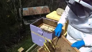 Bee Hive Check pt 1