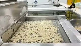 Quick-frozen longan meat processing process