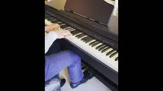 Roland RP30 - Nazəndə sevgilim