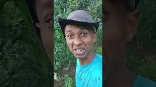 molhando as plantas #vidanaro&ccedil;a