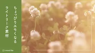 【フリー素材】ライトリークフィルター　合わせるだけで動画をかわいいおしゃれに♪