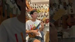 Honua HT-01 Tenor Ukulele #408 [ UKULELE PUAPUA ]