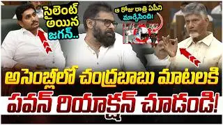 Chandrababu Sensational Comments on YS Jagan | TDP Janasena Alliance | AP Assembly LIVE | Yuvagalam