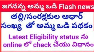 How to check Latest Eligibility status of  ammavodi scheme