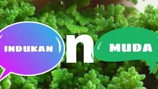Perbedaan (azolla indukan & azolla muda)