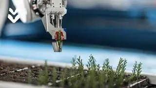 Coming soon! Sticking robot for unrooted cuttings