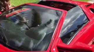 lamborghini diablo  car alarm