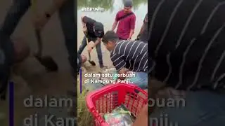 GEMPUR GISBH | Buku doktrin ditanam tepi sungai