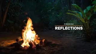 🔥 Cold Jungle Campfire Ambience | Crackling Fire & Forest Sounds for Relaxation