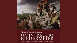 L'amor marinaro, ossia il corsaro, GraW Ib.6: Ouverture (Transcr. by John Bornhardt)