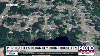 Mobile firefighters rescue cats after residents escape fire with their dog