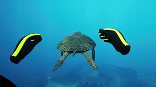 Subside Exploring Cobalt Cove