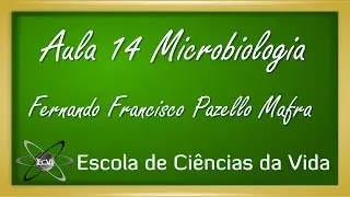 Microbiologia: Aula 14 - Coloração álcool ácido resistente